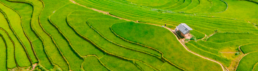 Beautiful terrace in Mu Cang Chai